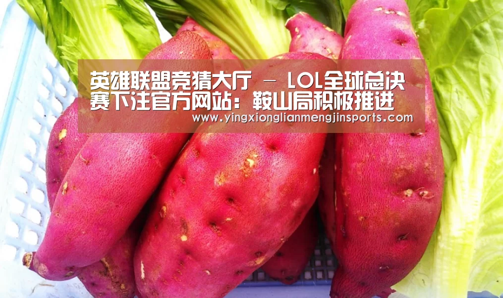 英雄联盟竞猜大厅 - LOL全球总决赛下注官方网站：鞍山局积极推进绿色邮政建设快